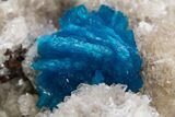 Vibrant Blue Cavansite Cluster on Stilbite - India #306065-1